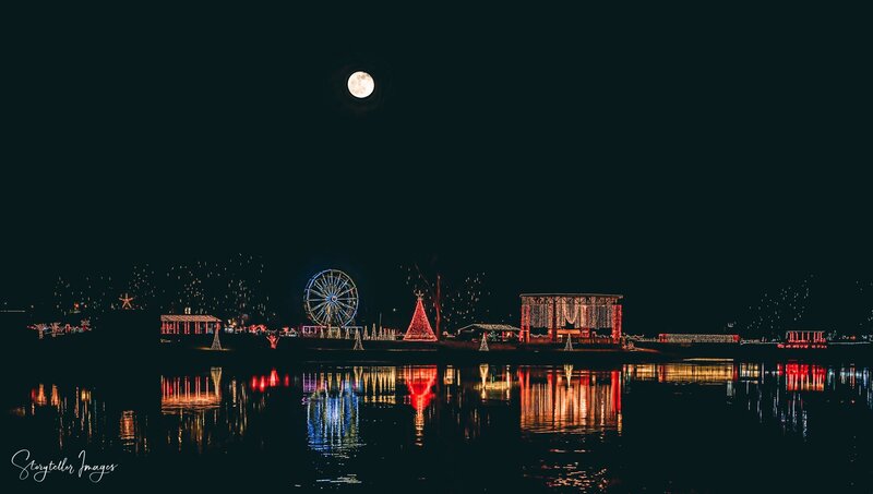 Christmas Lights + Festive Nights